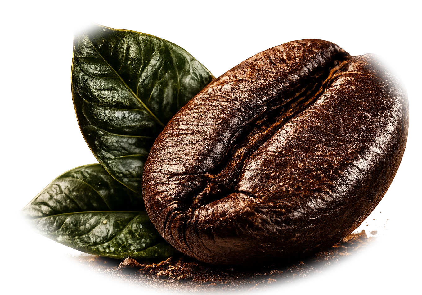 Single-origin coffee bean with coffee plant leaves